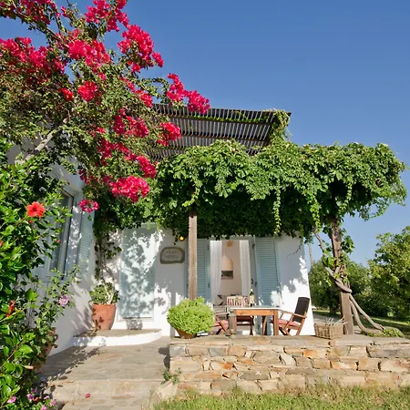 Kavos Naxos